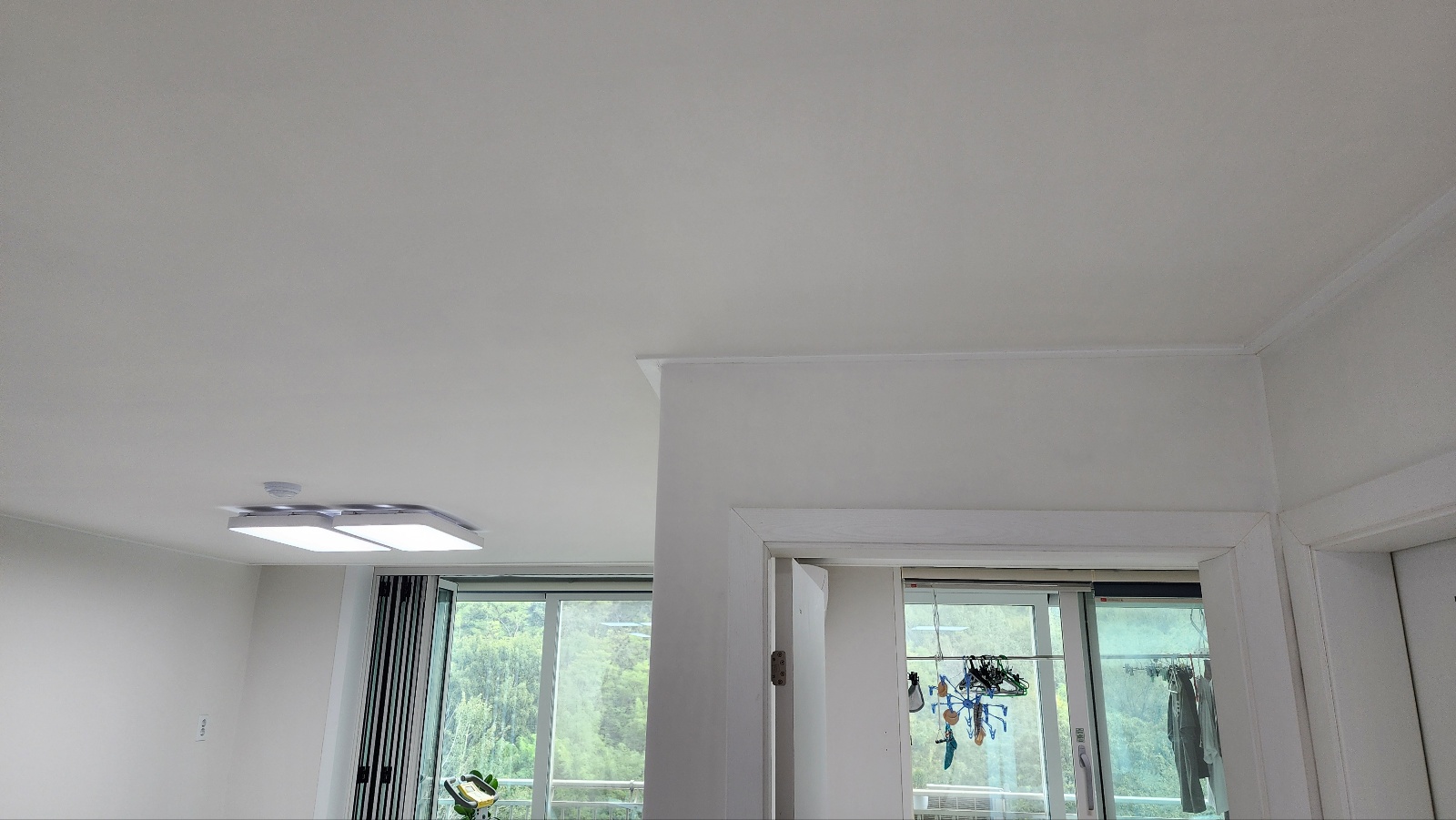 2944258182_6qYkc2H9_d2ee73235b2256dee7d14d9bdbc2fb4ac1f923df.jpg 이미지크게보기