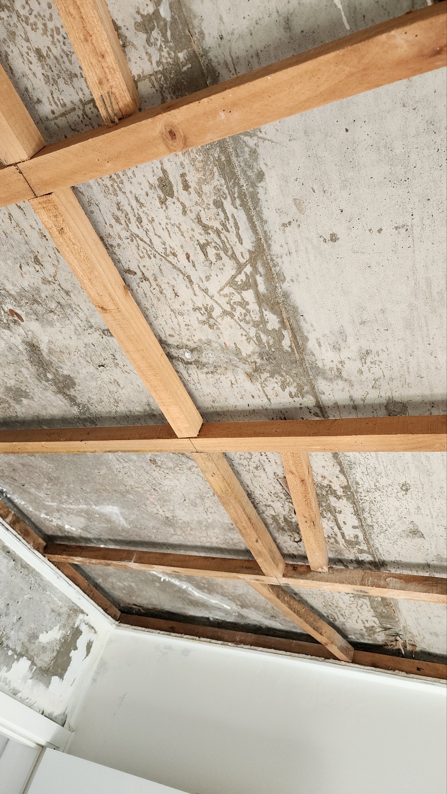 2944258182_lKQe3O8g_e3453469bd86c0c2c165e5c1b1ab76d438312b3e.jpg 이미지크게보기